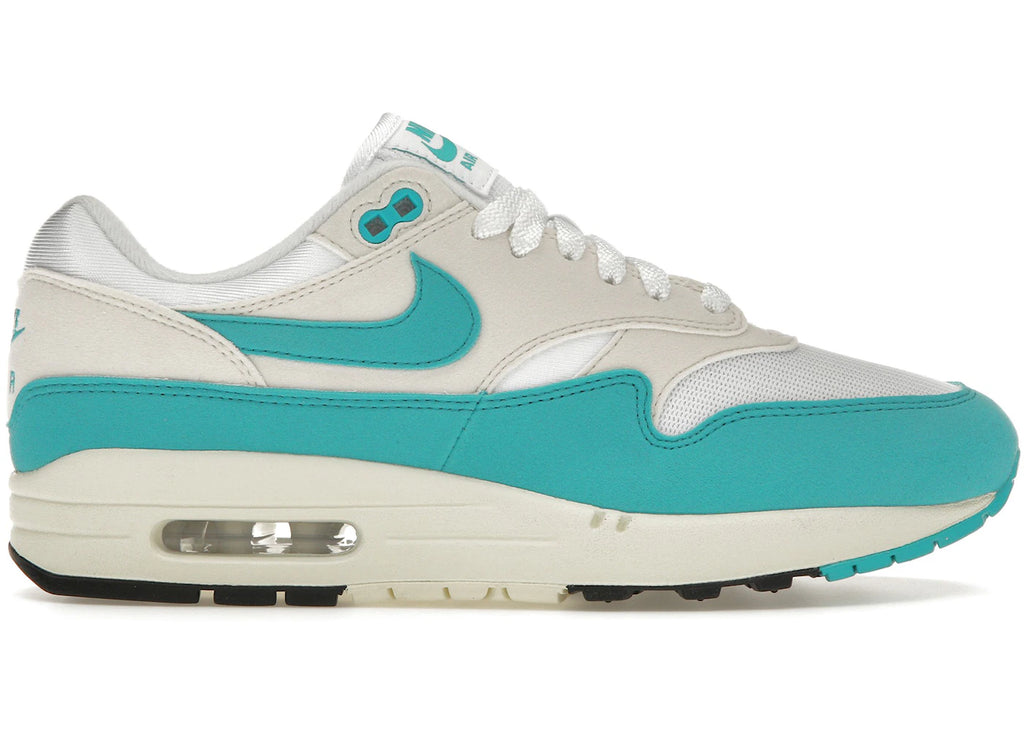 Nike Air Max 1 Dusty Cactus