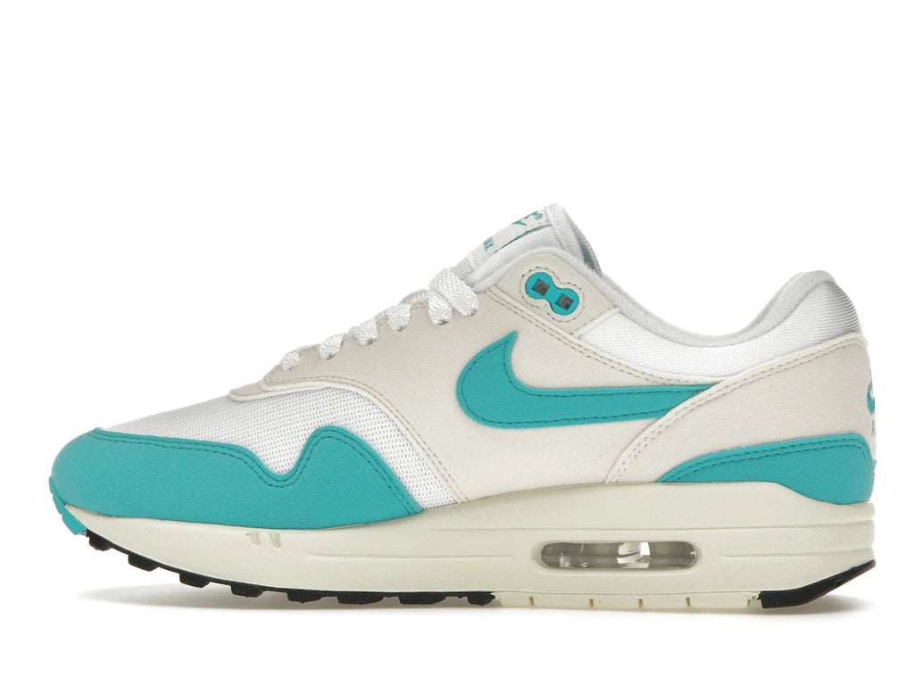 Nike Air Max 1 Dusty Cactus