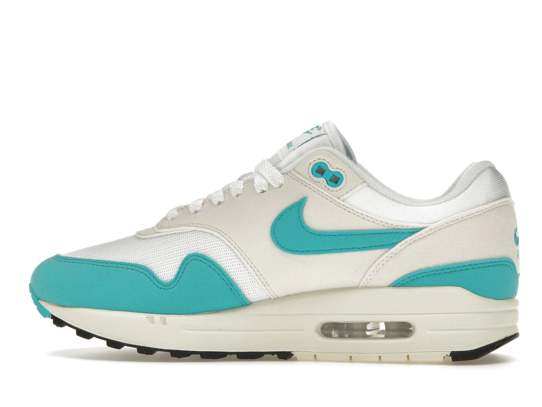Nike Air Max 1 Dusty Cactus