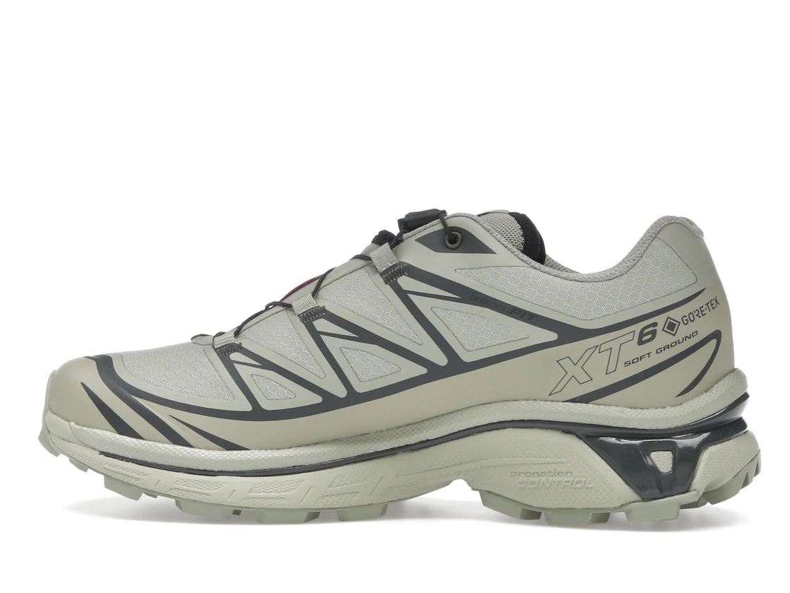 Salomon XT-6 Gore-Tex Tea Peat