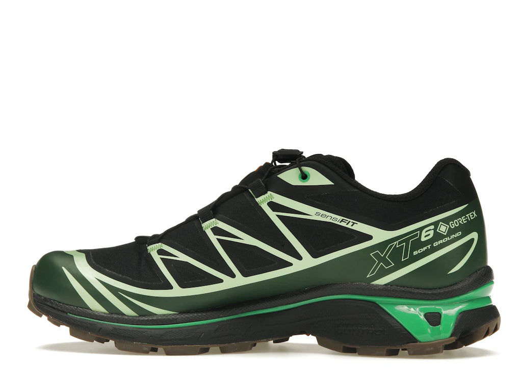Salomon Advanced XT-6 Gore-Tex Eden Green Ash